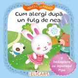 Cum alergi dupa un fulg de nea. O intamplare cu iepurasul Pipa - Natasa Galche - Elicart