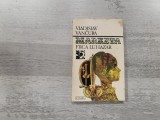 Marketa,fiica lui Lazar de Vladislav Vancura