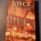 Stephen eroul James Joyce