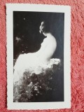 Carte postala, reproducere dupa tabloul Nud/Grigorescu, 1937