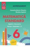 Matematica - Clasa 6 Partea 1 - Standard - Camelia-Maria Chindris, Nicolae Apetrei