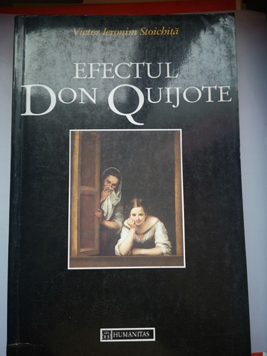 Efectul Don Quijote - Victor Ieronim Stoichita