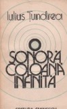 O sonora coloana infinita