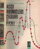 Cumpara ieftin Acizii Ribonucleici Celulari si Virali - R. Portocala, L. Popa, Editura Academiei, 1966, Biologie, 373 pagini