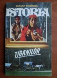 Istoria tiganilor - : Lucian Cherata