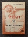PITESTI. MARTURII DOCUMENTARE (vol. I)