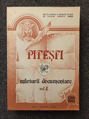 PITESTI. MARTURII DOCUMENTARE (vol. I) foto