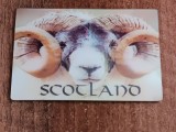 D5 - Magnet frigider - tematica turism - Scotia 2