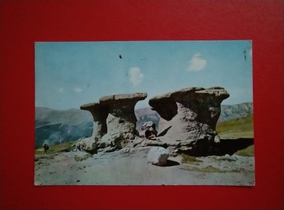 CARTE POSTALA - MUNTII BUCEGI - BABELE foto