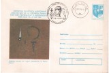 ROMANIA 1980, Expozitie Filatelica Alba Iulia, Podoabe dacice, stampila speciala, intreg postal