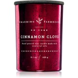 DW Home Charming Farmhouse Cinnamon Clove lum&acirc;nare parfumată 230 g