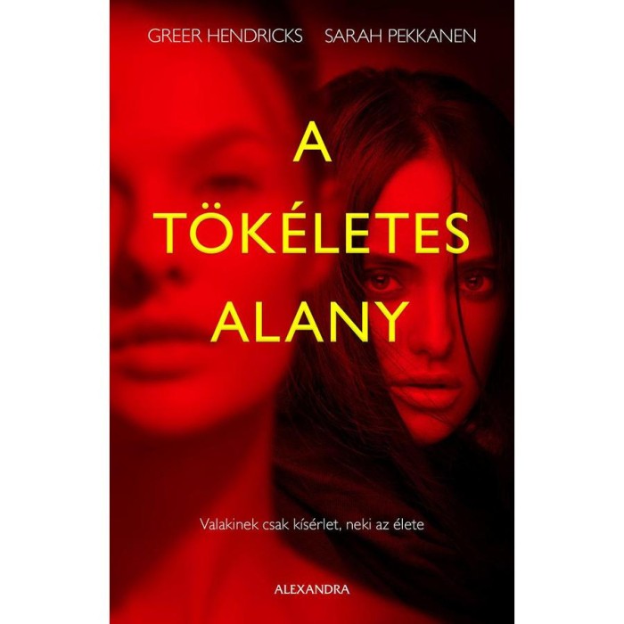 A t&ouml;k&eacute;letes alany - Greer Hendricks
