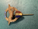 Insigna YR FAR tip pin