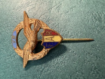 Insigna YR FAR tip pin foto