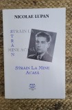 Strain la mine acasa - Nicolae Lupan