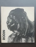 RODIN - George Popa
