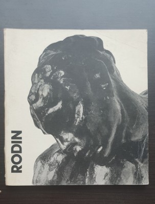 RODIN - George Popa foto