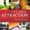 The 28 Laws of Attraction: Stop Chasing Success and Let It Chase You