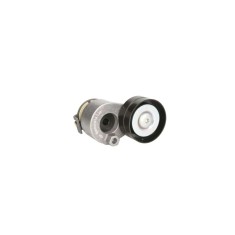 Intinzator curea RENAULT MEGANE II BM0 1 CM0 1 DAYCO APV2498
