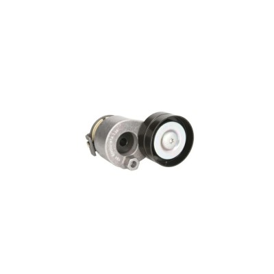 Intinzator curea RENAULT SC&amp;iuml;&amp;iquest;&amp;frac12;NIC II JM0 1 DAYCO APV2498 foto
