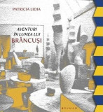 Aventuri in lumea lui Brancusi | Patricia Lidia, Brumar