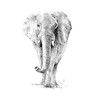 Crochiu incepatori-Elefant 22x29 cm foto