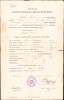 HST A1903 Certificat școlar 1909 Făgăraș elevă rom&acirc;ncă ortodoxă