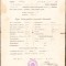 HST A1903 Certificat școlar 1909 Făgăraș elevă rom&acirc;ncă ortodoxă