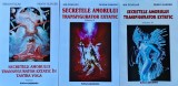 Cumpara ieftin Secretele amorului transfigurator extatic in Tantra Yoga (3 volume) - 1997 - Nik Douglas (H383)