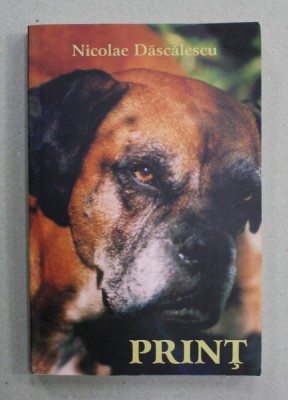 PRINT de NICOLAE DASCALESCU , 2004 foto