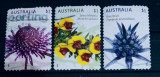 Australia 2015 flori plante serie 3v stampilata, Stampilat