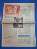 ziarul magazin 24 octombrie 1981