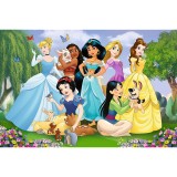 Puzzle - Primo Super Shape XXL - Disney, Printesele din Gradina | Trefl