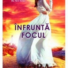 Infrunta focul - Nora Roberts