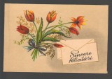 CPIB 20163 FELICITARE - LALELE