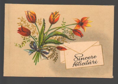 CPIB 20163 FELICITARE - LALELE foto