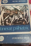 ITINERAR PSIHIATRIC PETRE BRANZEI