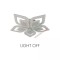 icon 2