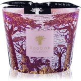Baobab Collection Sacred Trees Massasso lum&acirc;nare parfumată 10 cm