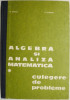 Algebra si analiza matematica, vol. I. Culegere de probleme &ndash; N. Donciu, D. Flondor