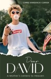 Dear David: A Mother's Letters to Heaven