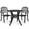 Set mobilier bistro, 3 piese, negru, aluminiu turnat