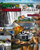 INVEST IN ZIMBABWE - Visit Zimbabwe - Celso Salles: Invest in Africa Collection