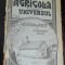 Uscatoria de fructe - N. Arghir