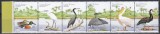 Guineea Bissau 2001 - Păsări, Staif, MNH, Nestampilat