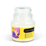 Lumanare parfumata &ndash; borcan cu capac &ndash; Violet &amp; Vanilla &ndash; 310 g Best CarHome