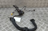 Cablaj ușă st&acirc;nga față MERCEDES-BENZ AMG GT C190 2014 OEM: A1905403101 27612034
