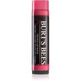 Burt&rsquo;s Bees Tinted Lip Balm balsam de buze culoare Hibiscus 4.25 g
