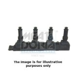 Meat &amp;amp; Doria bobina de inductie