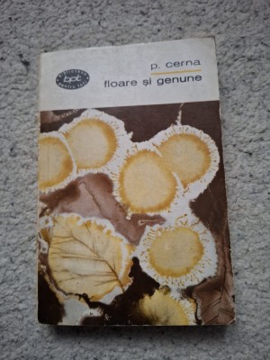 P.cerna-floare si genune foto